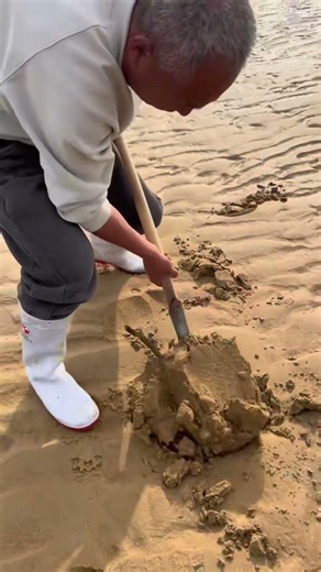 He pulled out a worm from the sand. #shortsvideo