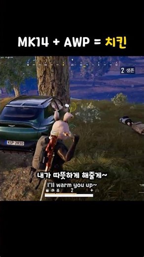 MK14 + AWP = 치킨 #배틀그라운드 #배그 #pubg #스배