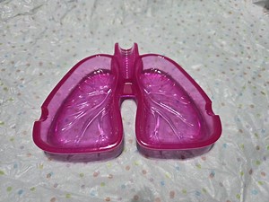 Bright Violet Pink Lungs Ashtray | Funny Ashtrays | Body Parts Decor | Rolling Tray | Goth Gifts | Funny Gifts | Stoner Gifts - Etsy