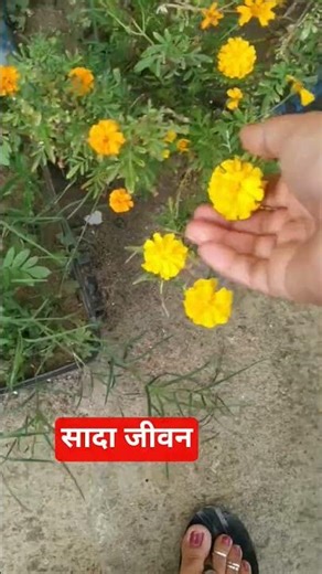 simple life#dailyroutine#minivlog