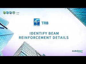 Identify Beam Reinforcement Details