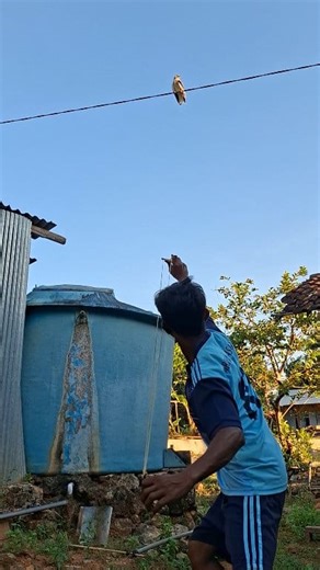 Here comes the sniper | Moh Sahar