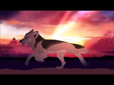 Wolf run cycle animation