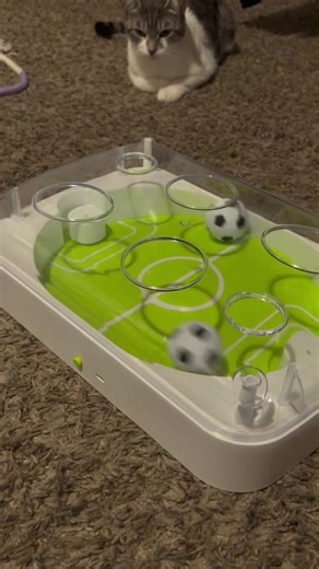 FIFA World Cup Official Licensed Pet Toy Interactive Electronic Soccer Field Cat Kick Play #cats #cattoy #pettoy