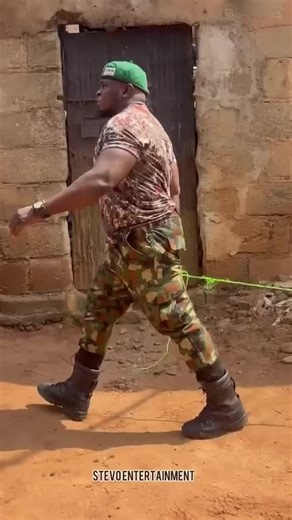 Experience the Magic of BalliBot Mogis