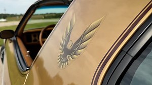 FOR SALE: 1978 Pontiac Trans AM Y88 455ci, 5 Speed - Fully Restored, Low Miles Stock #30 https://vehicles.restoreamusclecar.com/vehicles/54/1978-pontiac-trans-am-y88-se-500hp-5-speed Contact Restoreamusclecar.com Store.restoreamusclecar.com Sales@restoreamusclecar.com 402.465.5756 8am-5pm Monday-Friday Pontiac Y88 Trans AM A stack of receipts included PHS Documented Y88 Special Edition Factory Fisher T-Tops 455 Pontiac Engine Professionally Built to 500HP (Tuned on an Engine Dyno) Transmission i