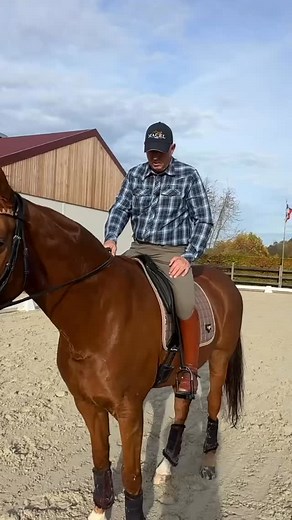 why and how using the Inside Leg for going to canter… the complete video will be shortly available on our Patreon Channel again some classic school technique which is unbelievable misunderstood and over the years forgotten and yet it’s again an incredible important piece of the schooling of our horses because the impact and consequences are huge…. hopefully this will be, “aha moment” for some of you click on the link 🔗 in my profile and you’ll see Patreon … #horses #eventing #jumping #jumpingdr