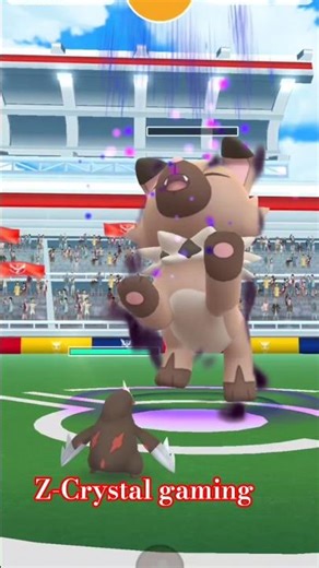 : Rockruff Raid & Catch: Shiny or Not? 🐾 #Pokemon #pokemongo #pokemongozacianinmasterleague