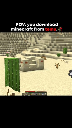POV: You Downloaded Minecraft From Temu... 💀😂