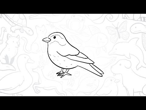 How to Draw a Simple Sparrow | Step-by-Step Lesson