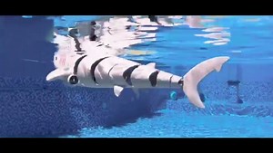 Watch Fistone Remote Control Shark Toys for Water on Amazon Live