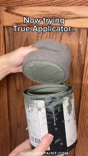 ALL-IN-ONE Paint by Heirloom Traditions on Instagram: "Ready for a paint only kitchen makeover? And don't want to sand or seal? We got you covered! You need #allinonepaint! Take golden oak cabinets to a new color without sanding! Save 50% today on any cabinet or countertop bundle using coupon code HOLIDAY50. Heres a link to our bundles! https://www.allinonepaint.com/project-bundles.html #allinonepaint #heirloomtraditionspaint #cabinetpainting #kitchenmakeover #womenwhodiy"