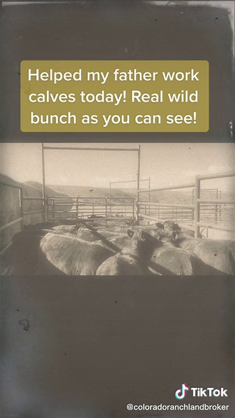 Your Colorado Ranch broker doing ranch things! I know ranching, hunting, land and water. Let me help you find your Colorado Ranch! #ranchbrokerllc #coloradoranchlandbroker #jeradcottenrealestate #ranchbroker #ranchesforsale #huntingranch #cattleranch #coloradorealestate