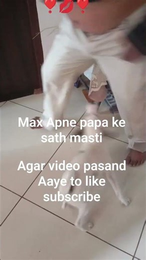 Tap on a clip to paste it in the text box.