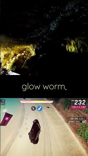 Waitomo Glowworm Caves: New Zealand's Enchanting Bioluminescent Wonder