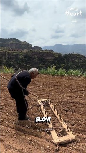 Man Becomes His Own Ox