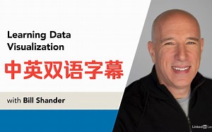 Lynda教程：数据可视化零基础入门视频Learning Data Visualization中英双语字幕