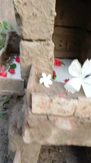 How to make soil house 🏠 #challenge #viral