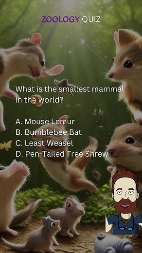 Zoology Quiz | Think you know animals? Take this Zoology Quiz to test your knowledge! | #zoology #zoo #animals #quiz #education #school #fyp #quizbee