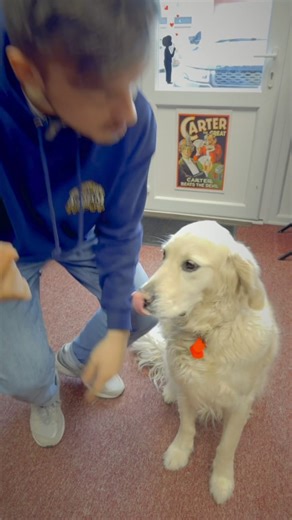 4.5K views · 40 reactions | CRAZY EASY Humph-FLEA Magic Trick!?勞 | Alakazam Magic Limited | Facebook