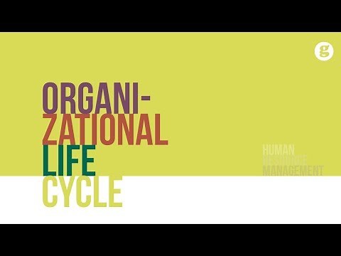Organizational Life Cycle