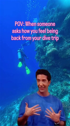 Define fine. 🤪 Physically back from the dive trip? Yes. Mentally? Still at 60 feet. 😂🤿 Please allow 3–5 business days for reentry into normal life. Anyone else get the post-dive-trip blues? 😂 Want another dive trip on the calendar? Come dive with me. 🩵 🌊 UPCOMING TRIPS 🇲🇽 Cozumel | Nov 2026 🇩🇲 Dominica | Feb 2027 🇲🇽 Cozumel | Mar 2027 🇭🇳 Roatán | Apr 2027 🇵🇭 Philippines | May 2027 🇲🇽 Cozumel Women’s Dive Week | July 2027 Comment BUBBLES and I’ll send you the details. #ScubaDivi