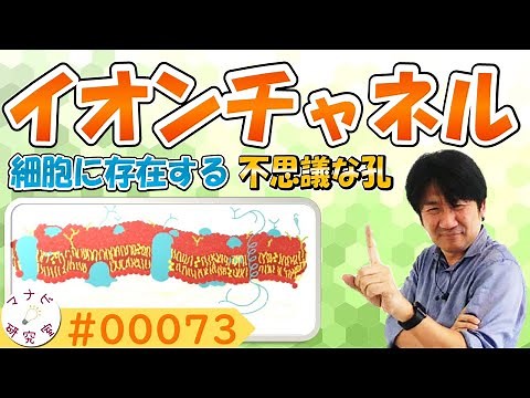 細胞膜にあるイオンチャネルってどんなもの？ # 00073