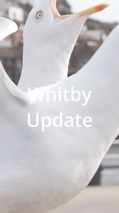 The Whitby Update | The Whitby Photographer