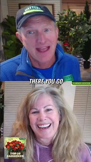 Can You Grow Amaryllis Bulbs Outdoors in Cold Climates