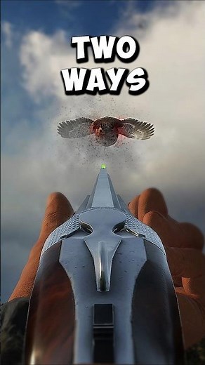 When Pheasants Forget to Duck | thehunter: Call of the Wild