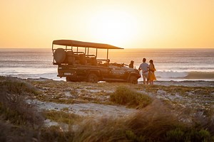 With every breathtaking vista you uncover on Grootbos, every fresh sea breeze that tousles your hair, and every new species of fynbos that you learn about, comes the realisation that being out in nature has a way of making you feel at home. | Grootbos Private Nature Reserve