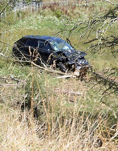 Car crashes into tree