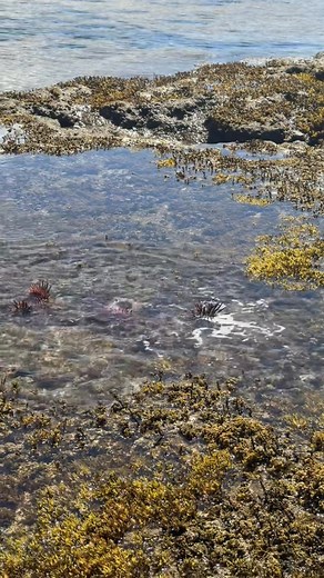 Family Holiday 2025-2026 Part. 5 #iowneveryrighttothebackgroundmusic 😂 | Alexe Mataakama