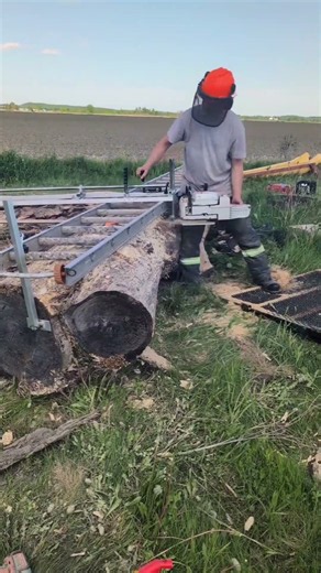milling huge white oak