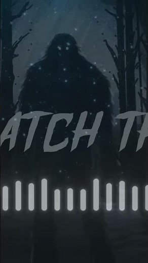 THE BIGFOOT ACTIVITY CONTINUES AT THE KILLING FIELDS | MARK TWAIN NATIONAL FOREST (PORTAL THEORY)