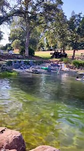 Truly our little oasis 💦✨☀️🤌🏻 #naturalswimmingpool #offgridliving #tinyouse #naturalliving #offgrid #swimmingpond #diypond #diypool #swimmingpool #natrualswim #buildapool #fyp #nontoxic #nontoxicliving #nontoxiclifestyle #lowtoxliving #sustainableliving #cleanpool #cleanpoolday #summerfun natural pond pool cost swimming pool pond diy natural swimming pond filtered natural pond natural pool ideas beach entrance pool beach entrance pond natural swimming pond in backyard | Thermaland Oaks