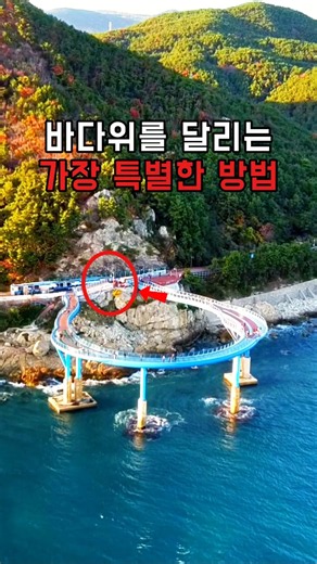 바다 위를 달리는 가장 특별한 방법 #트레킹 #여행 #국내여행
