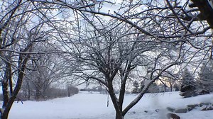 10K views · 456 reactions | The orchard. Our winter wonderland.  | Ted Yoder | Facebook