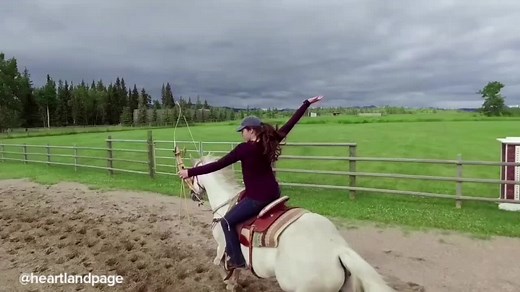 Georgie: Western vs. English Rider Debate