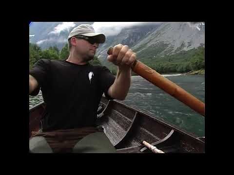 Big salmon in the Rauma River.