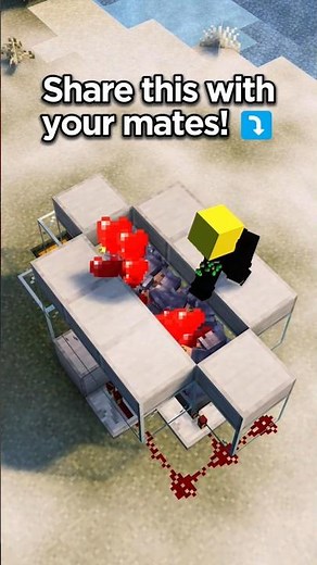 Automatic Chicken Farm!