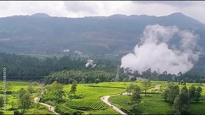 Tea plantation in Pangalengan West Java Indonesia with geothermal wayang windu