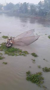 795K views · 8.7K reactions | Shaker Ahammed on Reels | Facebook