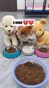 110K views · 519 reactions | He was annoyed  | UME Banteay Meanchey Page | Facebook