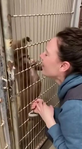 The Girl Who Adopted a Lonely Dog – Real Heartwarming Moment 😢🐾