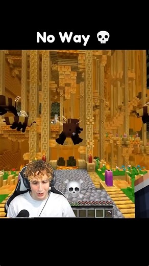Is the BEE Dimension Real in Minecraft? #usa
