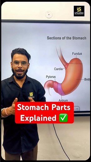 Stomach & Digestion Explained ✅ #sciencefacts #stomach #sscutkarsh