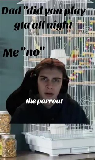 yo stop playing gta bird #bird #capcut #gta #fyp #viral