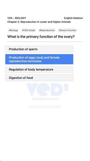 12th Biology Reproduction The Ovary Function
