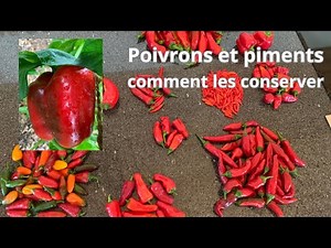 Poivrons et piments comment les conserver